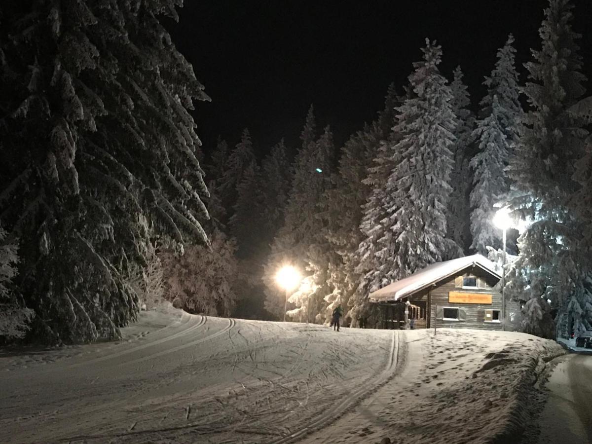 Hoehengasthaus Kolmenhof An Der Donauquelle Furtwangen Exterior foto